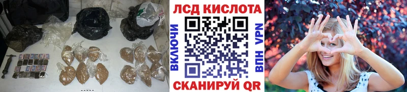 купить наркоту  Новотитаровская  MEGA онион  LSD-25 экстази ecstasy 