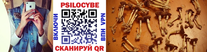 гидра маркетплейс Новотитаровская Псилоцибиновые грибы Cubensis